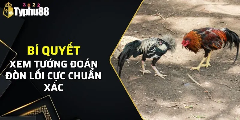 Bí quyết xem tướng đoán đòn lối cực chuẩn xác