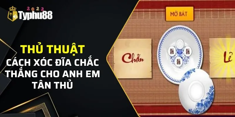 Mẹo chơi xóc đĩa hữu ích giúp người chơi thắng lớn