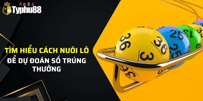 Tìm hiểu cách nuôi lô để dễ dàng dự đoán số trúng thưởng